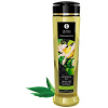 Shunga Masážní olej Green Tea 240 ml