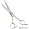 Dictum 708164 - Japanese HairCutting Scissors Powerful 5.5