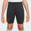 Nike Liverpool Strike Third Shorts 2024 2025 Juniors Grey 7-8 rokov