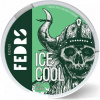 Feedrs ice cool mint hard 65 mg/g 20 vrecúšok