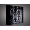 Obraz na plátne viacdielny - OB3043 - Čiernobiely tiger 90cm x 80cm - S6