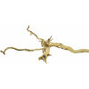 Red Moor wood Spider M (1,1-2,7 kg) 2192g (ID Z06836)