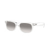 Slnečné okuliare Ray-Ban RB2132 677432 Veľkosť: 55