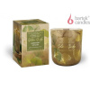 BARTEK Golden Ginkgo Greenery Shades sviečka v skle, 150g, doba horenia 35 hodín