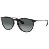 Ray-Ban Erika RB4171 622/T3