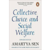 Collective Choice and Social Welfare