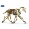 Kůň Skeleton