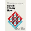 Social Theory Now - Claudio E. Benzecry
