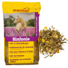 Marstall - Sinfonie