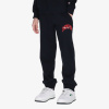 CHAMPION COLLEGE CUFFED PANTS L