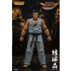 Storm Collectibles Virtua Fighter 5 Ultimate Showdown Akční Figure 1/12 Akira Yuki 18 cm