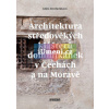 Architektura středověkých klášterů dominikánek v Čechách a na Moravě | Klára Mezihoráková