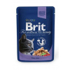 BRIT Premium cat Kapsička Adult Cod Fish 100 g