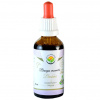 Bacopa monnieri - brahmi AF tinktura 50ml Salvia Paradise