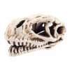 Lebka dinosaura 14cm - dekorácia do akvária Aquanova