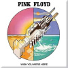 Pink Floyd Wish You Were Here Graphic Magnetka