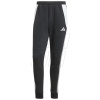 Tepláky adidas Tiro 24 M IP1976