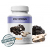 MycoMedica Polyporus huba extrakt 90cps