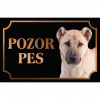Anatólsky pastiersky pes Karabaš 
