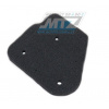 MTZ Filter vzduchový HFA6105DS - Aprilia 50 Area 51 + 50 Gulliver Air / LC + 50 Rally Air / LC + 50 Sonic / LC / GP + 50 SR WWW / Netscaper + 50 SR H2O Racing / Stealth