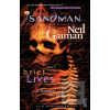 Sandman 7 Brief Lives 30th Anniv… (Neil Gaiman)
