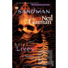 Sandman 7 Brief Lives 30… (Neil Gaiman)