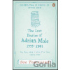 Lost Diaries of Adrian Mole 1999-2001 - Sue Townsend