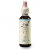 Dr. Bach Esence Vine 20 ml