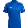 adidas Condivo 21 Training GH7165 (85434) Grey