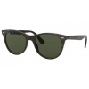 Ray-Ban Wayfarer II RB2185 902/31