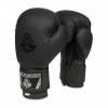 Boxerské rukavice DBX BUSHIDO B-2v12