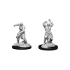 Dungeons & Dragons Nolzur's Marvelous Miniatures - Flesh Golem 2-pack, 4 cm