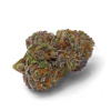 Growers Choice - Purple DosiPunch 5 ks - semená neobsahujú THC
