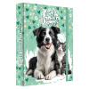 Box na zošity A4 Jumbo Best Friends Forever