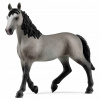 Schleich Horse Club - Kôň kobyla plemena selle francais, figúrka pre deti 5+