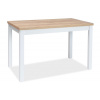 Casarredo Jídelní stůl ADAM 100x60 dub zlatý craft/bílá mat