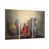 Obrázok na sklenenej Ázii Elephant Monk GCE165X110-3453 (Obrázok na skle 165x110 Ázijský slon mních)