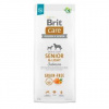 Brit Care dog Grain-free Senior & Light 12 kg (Brit Care Grain-free Senior & Light - krmivo bez obilnín s lososom a zemiakmi pre staršie psy všetkých plemien (od 7 rokov) a psy so sklonom k nadváhe)