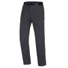 Pánske nohavice Direct Alpine Patrol 4.0 - antracite - L
