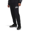 Pánske športové nohavice Under Armour UA Rival Flc CB Pants čierna|L