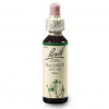 Dr. Bach Esence Walnut 20 ml