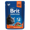 RIT BRIT Premium Cat Salmon Sterilised - mokré krmivo pre mačky - 100 g