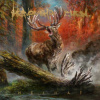 Heaven Shall Burn: Heimat 3LP - Heaven Shall Burn