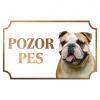 Anglický buldog - Kovová tabuľka POZOR PES