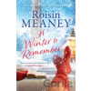 A Winter to Remember - Roisin Meaney