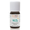 Hanus silica eukalyptová 10 ml 10 ml esenciálny olej