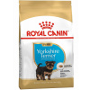 Royal Canin Breed Yorkshire Puppy/Junior 500g