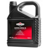 Olej do kosačky - Briggs & Stratton 5L SAE30 Oil pre kosačku (Briggs & Stratton 5L SAE30 Oil pre kosačku)