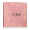Chloé Chloé L'Eau de Parfum Intense EDP Intense 50 ml + BL 100 ml (woman) možnosť Rose Cover With Gold Flowers
