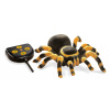 BUKI RC Tarantule